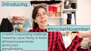 Introducing #KnickerNovember Sewing Challenge!