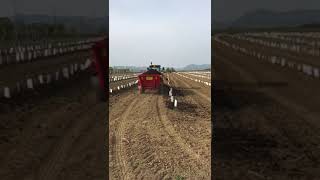 vaschieri spandiletame vigneto e frutteto  manure spreader vaschieri L35 vineyard/orchards