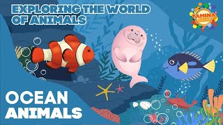 Exploring the Wolrd of Animals : Ocean Animals Part 2 | Educational Videos for Kids