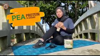 PERBEZAAN PEA PROTEIN 18 GRAINS DENGAN MINUMAN PROTEIN LAIN?