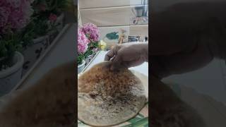 phalli goodh ki roti || godh ki roti || phalli ki mithi roti || godh ki mithi roti