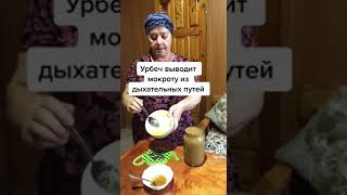 Вывести мокроту из легких