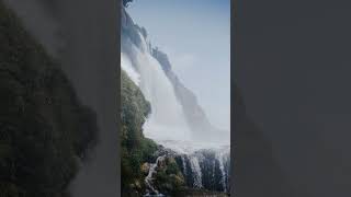 waterfall #bollywood #hindisong #song #love #souravjoshivlogs #vlog #shorts