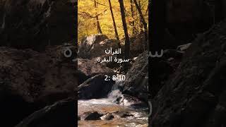 Surah Al Baqrah 8-10 | Urdu Translation | #quraan