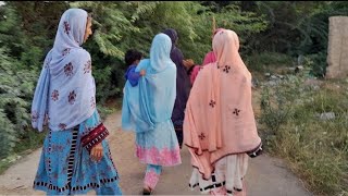 New Balochi Dance Baloch Girls  | Baloch Girls | Dance | Balochi Wedding 👌🔥