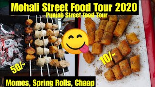 Mohali Street food 2020 -Street Food punjab - Chandigarh Street food -Best Street food in Chandigarh