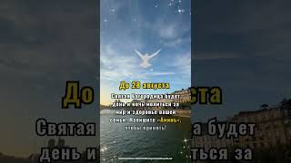 Святая Богородица будет день и ночь молиться за мир и здоровье вашей семьи.