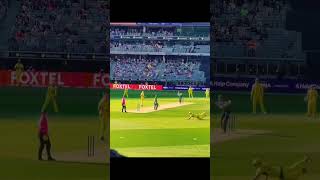 What a shot BabarAzam #ytshorts #ytshort #trending #cricket #reels