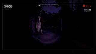 Slender - The Arrival_20240323071331