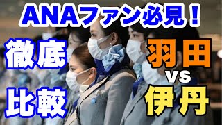 【ANAファン必見】ANA搭乗アナウンス徹底検証！驚愕の違いとは？ 国内２大空港羽田空港と伊丹空港【IBA飛行機】