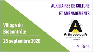 Village du biocontrôle : Auxiliaires de culture et aménagements