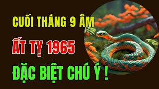 Tử Vi Tuổi Ất Tỵ 1965: Từ Nay Đến Cuối Tháng 9 Âm Lịch. Đặc biệt chú ý 3 điều này để khai mở tài lộc