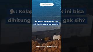 Menggunakan teknologi AI Computer Vision, kelapa yang lewat di conveyor dapat dihitung otomatis