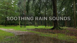 Soothing Rain Sounds for Deep Sleep, Productive Study & Ultimate Relaxation