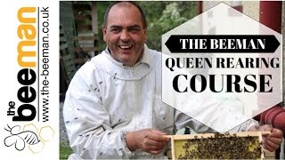 Queen Rearing Course With The Beeman