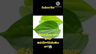 తమలపాకు ఇలా కూడా ఉపయోగపడుతుందా?/tips/kitchen tips