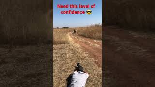 😱Lion #lion #wildlife #king#jungle #amazing #amazingvideo #confidence #cute #wow