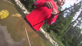 Bluegill Fishing With Flies