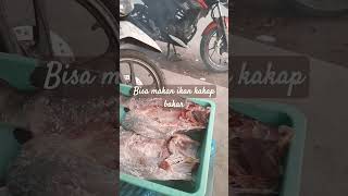 bakar ikan hasil mancing #ikanbakarkakap #mancing #kakapputih #shorts