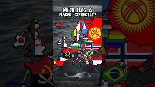 Guess which flag is placed corretly #geography #country #flag #viral #fypシ #shorts