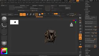 Photogrammetry Training - ZBrush Hare Optimization