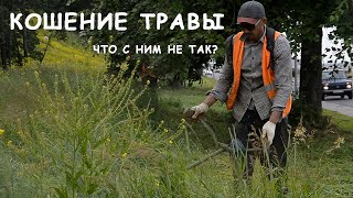 Кошение травы: что с ним не так?