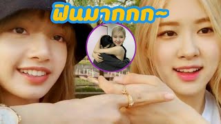 Chaelisa is real BLACKPINK | ลิแชง เขารักกัน