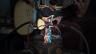 Sehat Effector Yet Another Overdrive