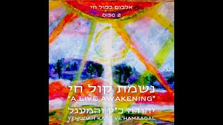 יהודה כ״ץ והמעגל A Live Awakening Disc 2 /Track 2 ובנה ירושלים /ליבי ובשרי