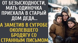 От безысходности, мать одиночка приехала в старый дом деда… А заметив в сугробе околевшего брод