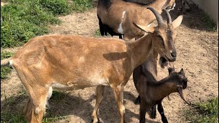 Сельское хозяйство в России не развито.