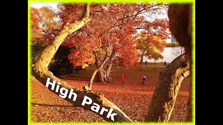 Espectaculares paisajes de COLORES en High Park Toronto  🍂🍁