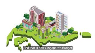 Singapore's National Budget Process