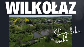 Wilkołaz - stawy, łąki, DJI MINI 3 PRO