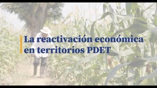 La reactivación económica en territorios PDET