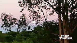 VEJA COMO A LUA FICOU HORAS ANTES DO ECLIPSE EM FOZ DO IGUAÇU