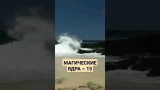 МАГИЧЕСКИЕ ЯДРА 15 #shorts