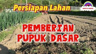 Persiapan Lahan Untuk tanaman Sayuran agar Bisa subur hijau..