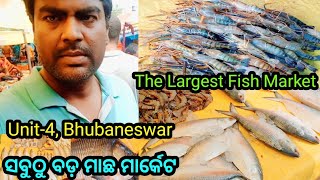 ସବୁଠୁ ବଡ଼ ମାଛ ମାର୍କେଟ / Biggest & Largest Fish Market in Bhubaneswar Odisha / Santosh Mohanty Vlogs