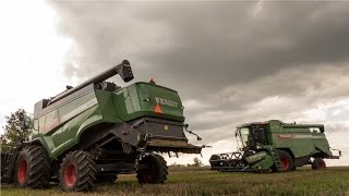 Żniwa i Siewy / Harvest & Seeding 2016 - 100%  Fendt