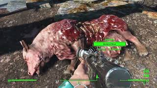 Fallout 4 Survival: Ep.43