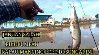 JANGAN SAMPAI SALAH PILIH  UMPAN‼️ MANCING LELE DI SUNGAI INI