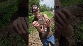 Releasing an almost 6 lb gar