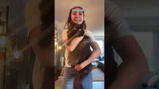 Cute Animals 🐈‍⬛ funny cats compilation 🐱 #cathouse Part 4030