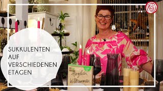 Sukkulenten auf verschiedenen Etagen | Wohnen & Schenken - Christa Wagner