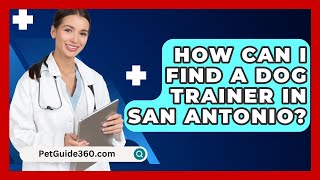 How Can I Find a Dog Trainer in San Antonio? - PetGuide360.com