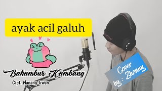 Bahambur Kambang Nanang Irwan (cover)