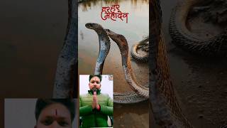 Har Har mahadev🔱🙏 #shorts #snake #mahadev #hindudeity #shankar #trending #shiv #viral #youtubeshorts