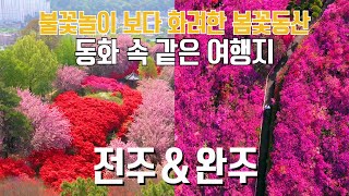 국내 여행지 BEST 동화 속 같은 여행지 전주 완주 여행