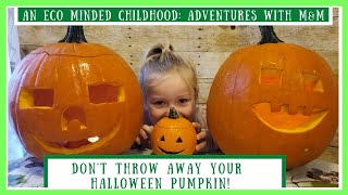 Don't Throw Away Your Halloween Pumpkin! Do This Instead!